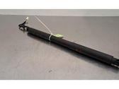 Tailgate strut