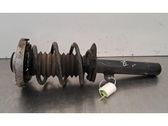 Front shock absorber/damper