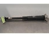 Stoßdämpfer hinten