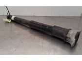 Stoßdämpfer hinten