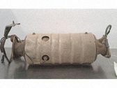 Filtro de partículas del catalizador/FAP/DPF