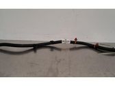 Negative earth cable (battery)