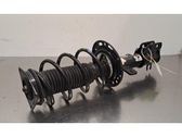 Front shock absorber/damper