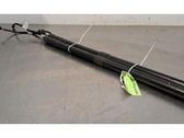 Tailgate/trunk strut/damper