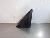 Glasverkleidung hinten