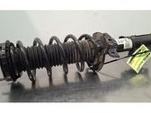 Front shock absorber/damper