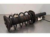 Front shock absorber/damper