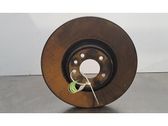 Front brake disc