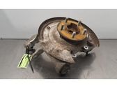 Rear wheel hub spindle/knuckle
