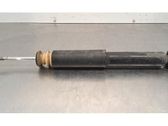 Rear shock absorber/damper