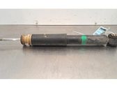 Rear shock absorber/damper