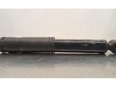 Rear shock absorber/damper