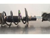 Front shock absorber/damper