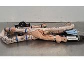 Airbag de toit
