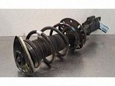 Amortiguador delantero
