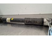 Stoßdämpfer hinten