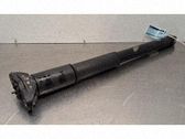 Stoßdämpfer hinten