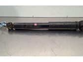 Rear shock absorber/damper