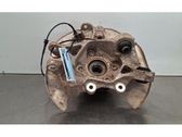 Rear wheel hub spindle/knuckle
