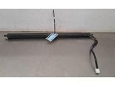 Tailgate strut
