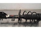 Front shock absorber/damper