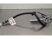 Negative earth cable (battery)