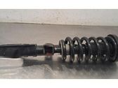 Front shock absorber/damper