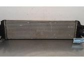 Intercooler radiator