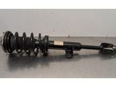 Front shock absorber/damper
