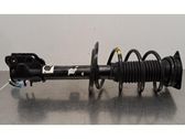 Front shock absorber/damper