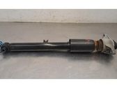 Rear shock absorber/damper