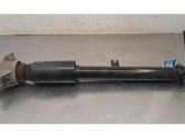 Rear shock absorber/damper