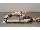 Airbag de toit