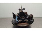 Rear wheel hub spindle/knuckle