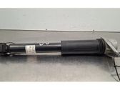 Rear shock absorber/damper