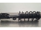 Front shock absorber/damper