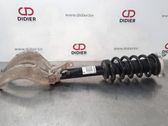 Front shock absorber/damper
