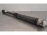 Rear shock absorber/damper