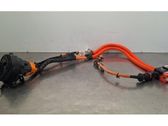 Câble de recharge pour voiture électrique