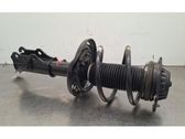 Front shock absorber/damper