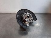 Rear wheel hub spindle/knuckle