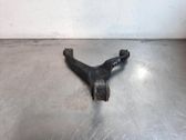 Querlenker hinten