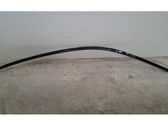 Roof trim bar molding cover