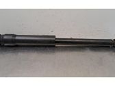 Stoßdämpfer hinten