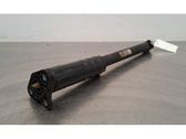 Stoßdämpfer hinten