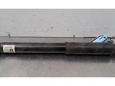 Stoßdämpfer hinten