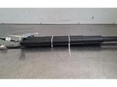 Tailgate/trunk strut/damper