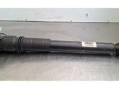 Stoßdämpfer hinten