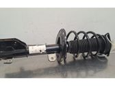 Front shock absorber/damper