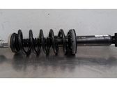 Rear shock absorber/damper